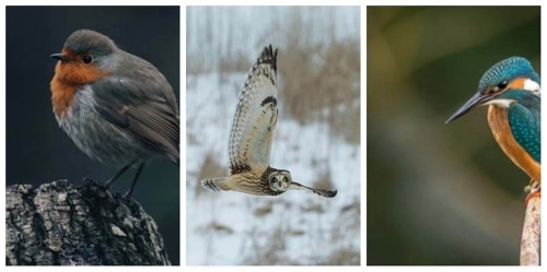 Соотношение сторон это круто