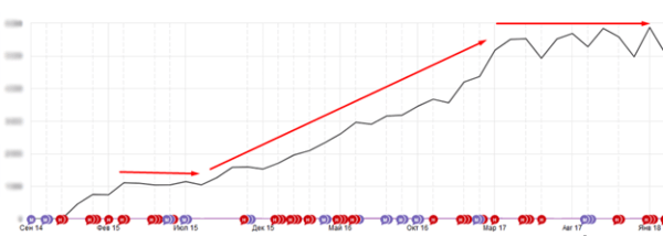 10 лет развития: от домена до сети клиник – ошибки, тактика, стратегия. Кейс продвижения сети ветеринарных клиник