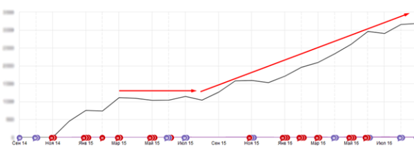 10 лет развития: от домена до сети клиник – ошибки, тактика, стратегия. Кейс продвижения сети ветеринарных клиник