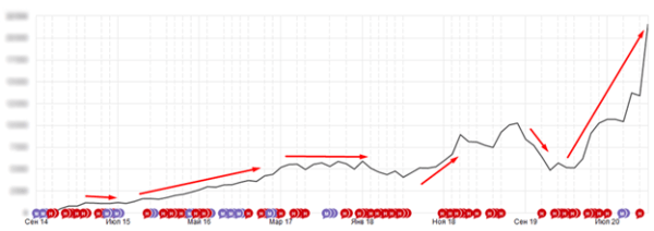 10 лет развития: от домена до сети клиник – ошибки, тактика, стратегия. Кейс продвижения сети ветеринарных клиник