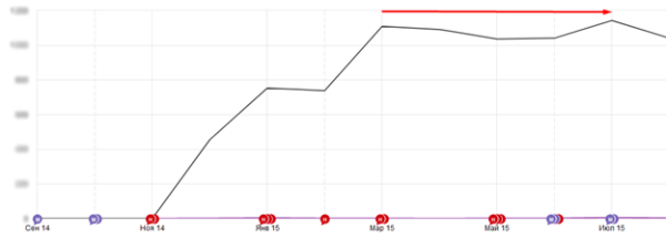 10 лет развития: от домена до сети клиник – ошибки, тактика, стратегия. Кейс продвижения сети ветеринарных клиник