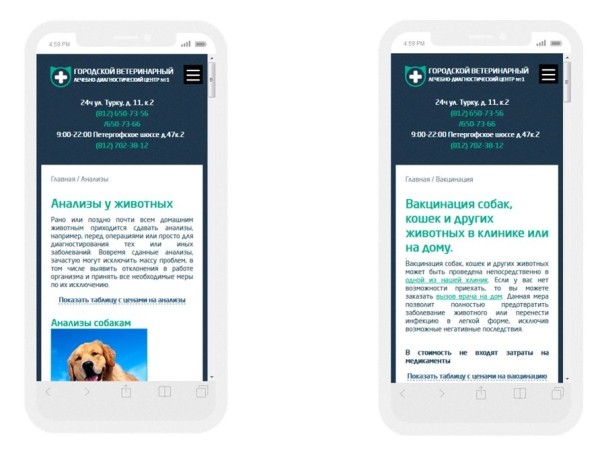 10 лет развития: от домена до сети клиник – ошибки, тактика, стратегия. Кейс продвижения сети ветеринарных клиник