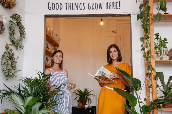 Выращиваем поисковый трафик на засушливой почве ограничений. Кейс зеленой студии The Plant