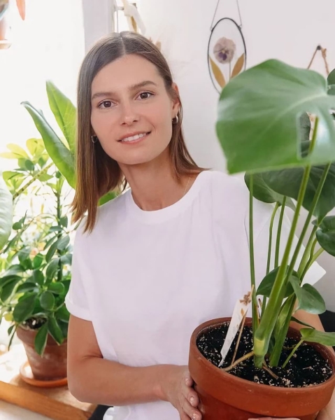 Выращиваем поисковый трафик на засушливой почве ограничений. Кейс зеленой студии The Plant