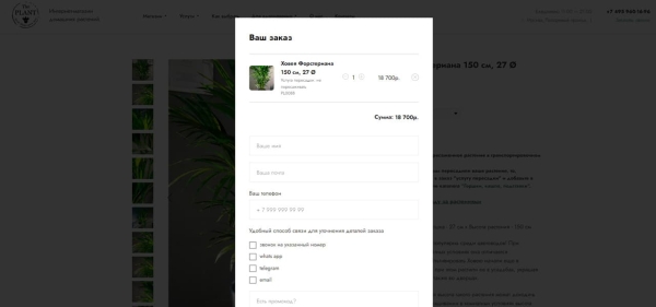 
            Выращиваем поисковый трафик на засушливой почве ограничений. Кейс зеленой студии The Plant
        