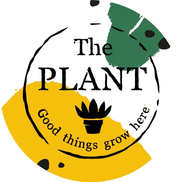 Выращиваем поисковый трафик на засушливой почве ограничений. Кейс зеленой студии The Plant