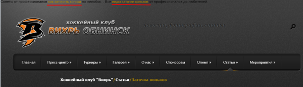 Шайбу! Шайбу! Как хоккейный фанат вывел в топ-10 инфопортал для болельщиков