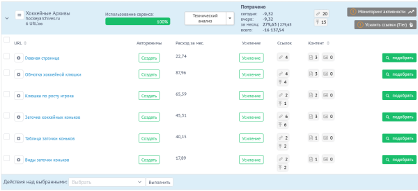 Шайбу! Шайбу! Как хоккейный фанат вывел в топ-10 инфопортал для болельщиков