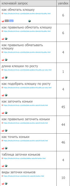 Шайбу! Шайбу! Как хоккейный фанат вывел в топ-10 инфопортал для болельщиков