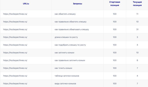 Шайбу! Шайбу! Как хоккейный фанат вывел в топ-10 инфопортал для болельщиков