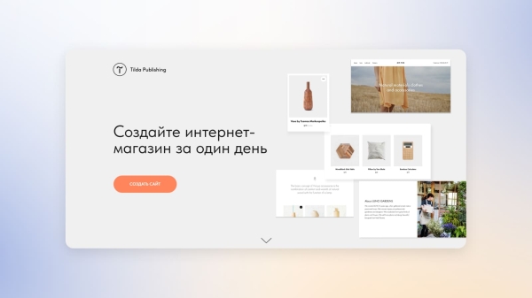 
            Как принимать криптовалютные платежи в интернет-магазине на Tilda
        