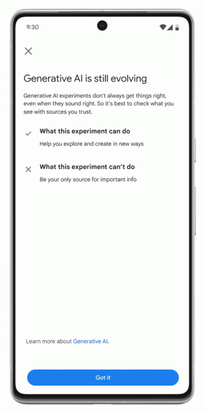 
            Google открывает подросткам доступ к SGE
        