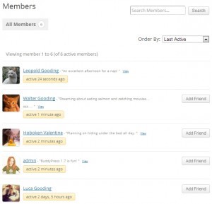 Как создать произвольный каталог членов сообщества в BuddyPress Как создать произвольный каталог членов сообщества в BuddyPress