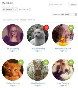 Как создать произвольный каталог членов сообщества в BuddyPress Как создать произвольный каталог членов сообщества в BuddyPress