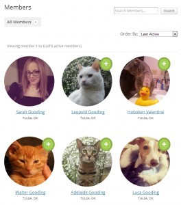 Как создать произвольный каталог членов сообщества в BuddyPress Как создать произвольный каталог членов сообщества в BuddyPress