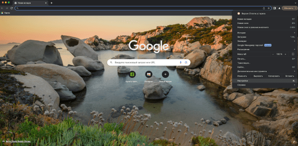 Все о cookie-файлах: что это такое, зачем они нужны и как их очистить
