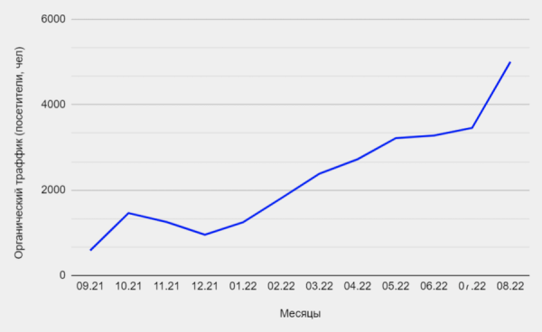 
            Как продвинуть региональный интернет-магазин оборудования для скейтбординга
        