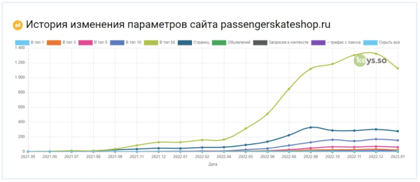 
            Как продвинуть региональный интернет-магазин оборудования для скейтбординга
        