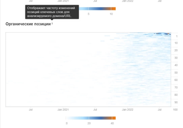 Продвижение на Запад. Как кратно увеличить трафик и вывести в топ-10 сайт для американского рынка